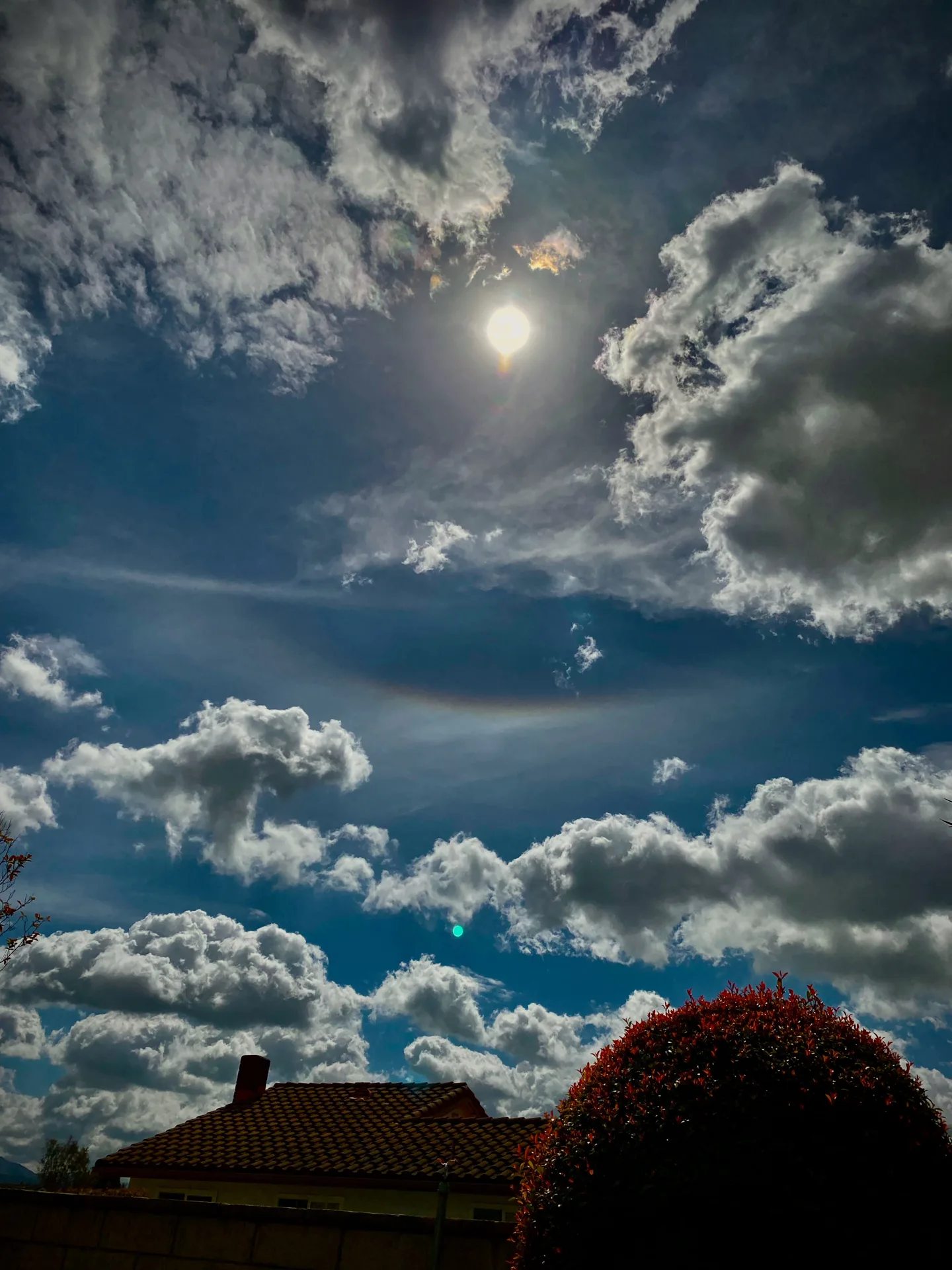 Photograph by Paul J Doty, No. 02