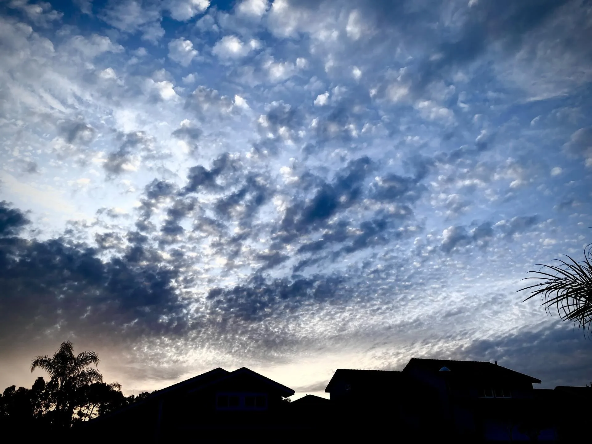Photograph by Paul J Doty, No. 01